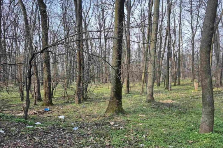 NAŠ PEVAČ POBEGAO U ŠUMU: Slika s magarcem zapalila internet! (VIDEO)
