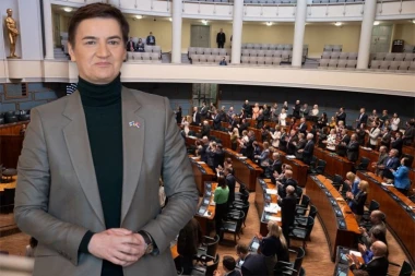 VELIKA ČAST I POŠTOVANJE ZA SRBIJU: Svi poslanici finskog parlamenta ustali i aplauzom pozdravili Anu Brnabić (VIDEO)