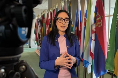 Žarić Kovačevićeva u UN o podršci porodicama i demografskoj politici Srbije