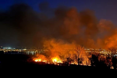 APOKALIPTIČNI PRIZORI KOD BEOČINA! Požar ne jenjava, vatra se nezaustavljivo širi - vatrogasci pristižu sa svih strana! (FOTO, VIDEO)