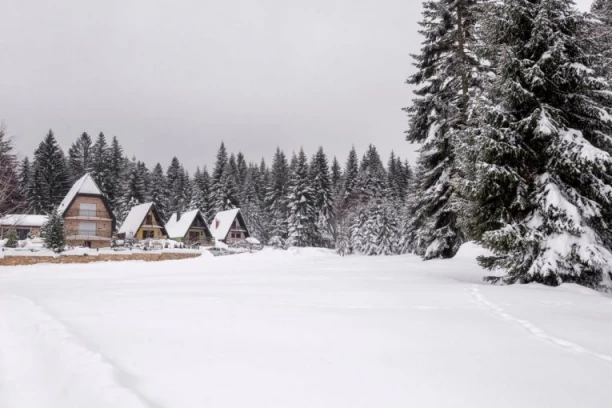 SNEG ZATRPAO OVU SRPSKU PLANINU! Prvi dan proleća, a veje kao usred zime - DOSTIGAO VISINU DO SKORO POLA METRA! (VIDEO)