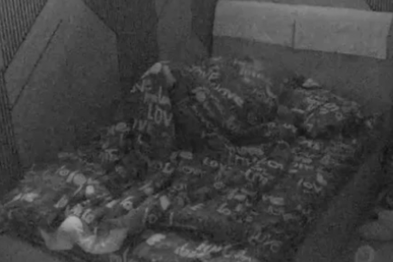 Anita Stanojlović i Luka Vujović intimna akcija