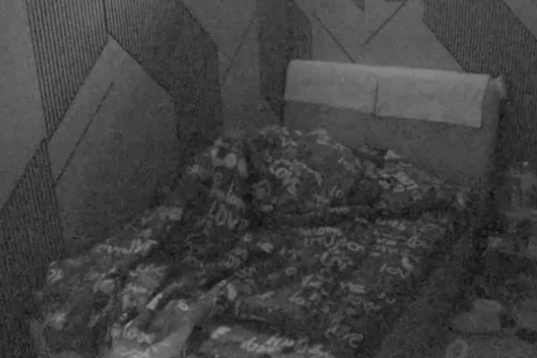 Anita Stanojlović i Luka Vujović intimna akcija