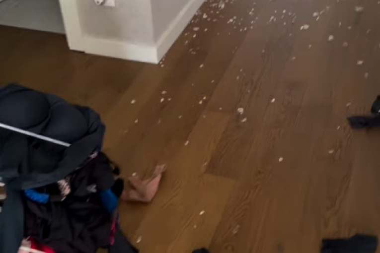 Tamara Bojanić Instagram