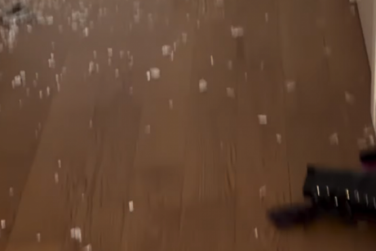 Tamara Bojanić Instagram