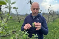 NE DAJ BOŽE DA SE PONOVI PROŠLA GODINA! Voćari strahuju od mraza: To je pravi rulet kada je u pitanju opstanak voća