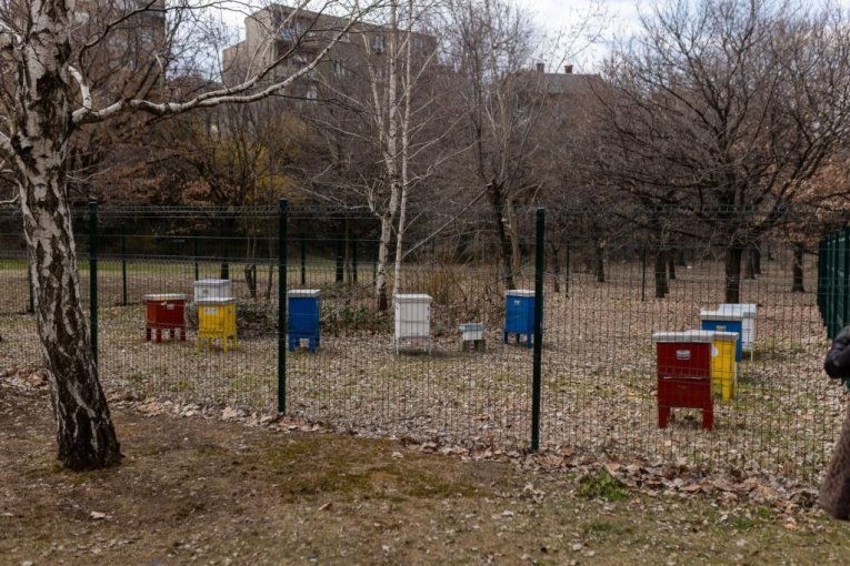 Ministarka Sara Pavkov