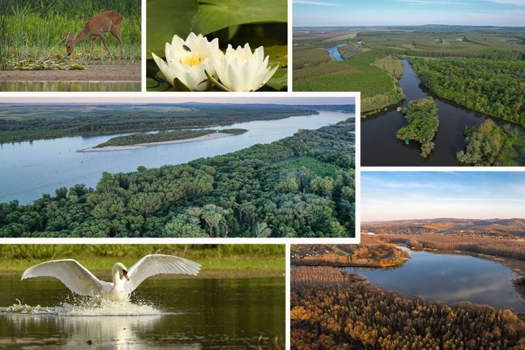 ПРИМЕР БАЛАНСА МЕЖДУ ГОРОДСКИМ РАЗВИТИЕМ И ЗАЩИТОЙ ПРИРОДЫ: Нови-Сад – Город водно-болотных угодий