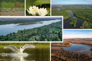 PRIMER BALANSA IZMEĐU URBANOG RAZVOJA I ZAŠTITE PRIRODE: Novi Sad- Grad vlažnih područja