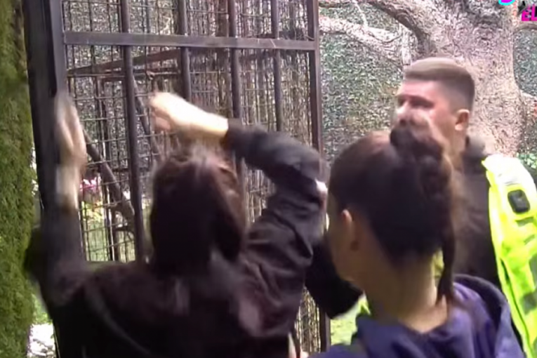 Anastasija Brčič beži iz "Elite 9"