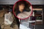 STRAVIČE SLIKE HORORA U BEOGRADU! Devojka leži u lokvi krvi na platou ispred Filozofskog fakulteta! (UZEMIRUJUĆI SADRŽAJ)