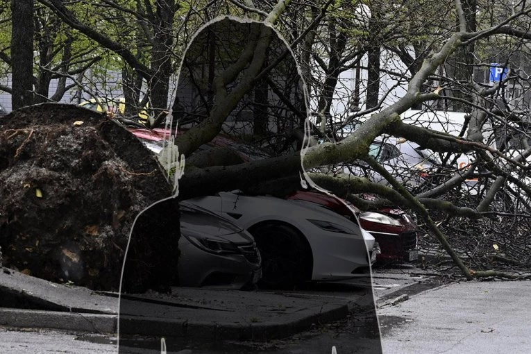 VODITELJKA OBELODANILA UZNEMIRUJUĆE SNIMKE NEVREMENA: Automobil totalno uništen, drveće sve demoliralo!