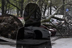 VODITELJKA OBELODANILA UZNEMIRUJUĆE SNIMKE NEVREMENA: Automobil totalno uništen, drveće sve demoliralo!