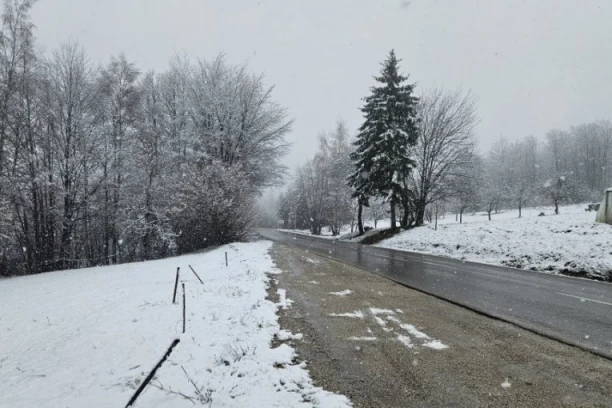 STIŽE PRVI SNEG U SRBIJU! Temperatura drastično pada