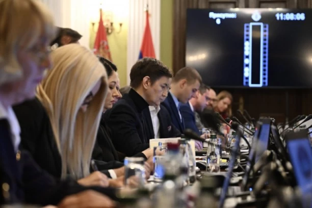 VLADAN ĐOKIĆ NIJE SMEO DA POGLEDA BRNABIĆEVU U OČI: Rektore, ko je u Kapetan-Mišinom zdanju?