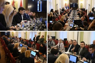 U TOKU JE HITNA SEDNICA ODBORA ZA OBRAZOVANJE! Predsedava Ana Brnabić: REKTORE ĐOKIĆU, AKO MOŽETE DA ME POGLEDATE! (FOTO)