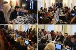 U TOKU JE HITNA SEDNICA ODBORA ZA OBRAZOVANJE! Predsedava Ana Brnabić: REKTORE ĐOKIĆU, AKO MOŽETE DA ME POGLEDATE! (FOTO)