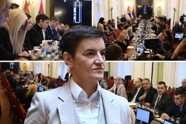 ZAVRŠENA SEDNICA ODBORA ZA OBRAZOVANJE! Brnabićeva patosirala REKTORA: Đokiću, ne glumite žrtvu, sram vas bilo! (FOTO, VIDEO)