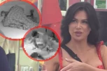 POGLEDAJTE VRELU AKCIJU MILJANE I ASMINA O KOJOJ BRUJI NACIJA: Stanija Dobrojević unela ŠOK-DOKAZE u Elitu, OVO nikad neće moći da obriše! (VIDEO)