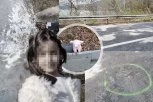 MALA DARIJA POGINULA SA MEDALJOM OKO VRATA! Devojčica iz Rumunije stradala sa ocem u stravičnom sudaru kod Kladova! Detalj sa mesta nesreće i danas LEDI KRV U ŽILAMA! (FOTO)
