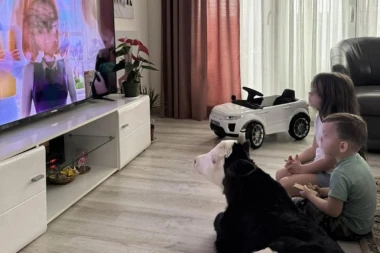 TELENCE SA DECOM GLEDA CRTANE! Nesvakidašnja slika iz doma Garovića: Smrznuto iz štale ga uneli u kuću, sada postalo miljenik svih (FOTO)