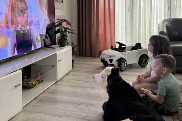 TELENCE SA DECOM GLEDA CRTANE! Nesvakidašnja slika iz doma Garovića: Smrznuto iz štale ga uneli u kuću, sada postalo miljenik svih (FOTO)