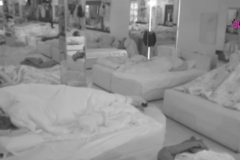 Janjuš i Vanja Živić vrela akcija