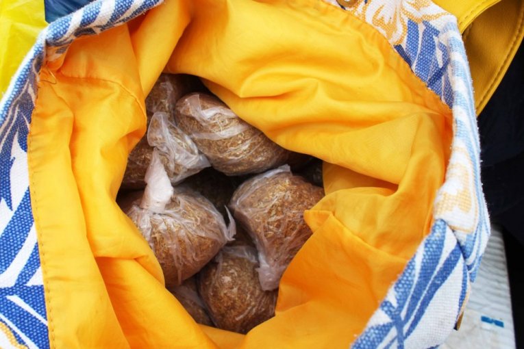 Република / Фото Галерија / Заплена у Зајечару