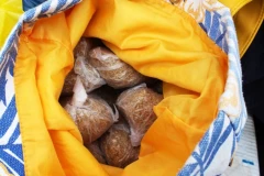 ZAPLENJENO SKORO 100 KILOGRAMA DUVANA U ZAJEČARU! Uhapšena žena - sumnja se da je oštetila budžet za preko MILION DINARA! (FOTO)