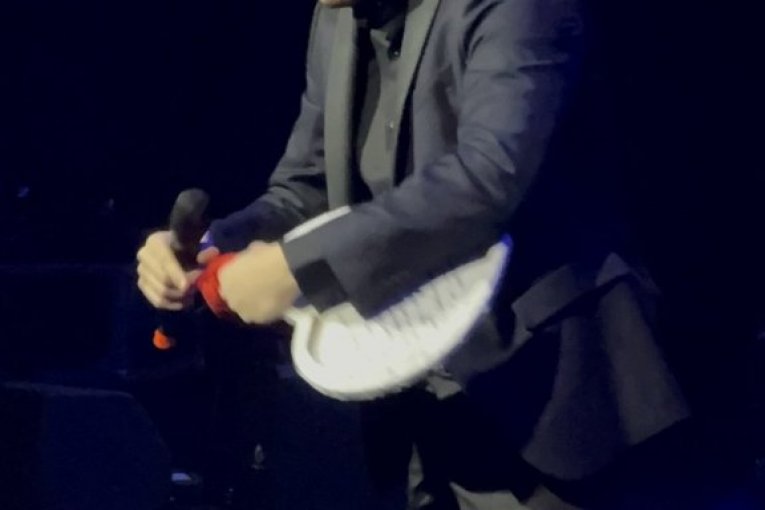 Mirza Selimović