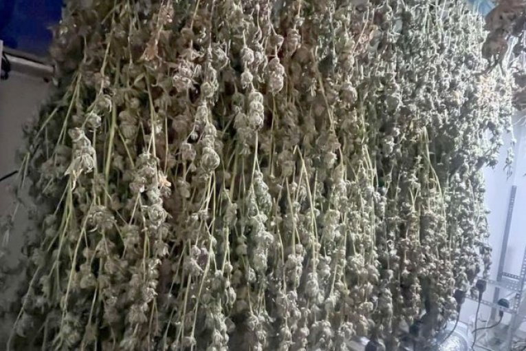 TANJUG/ OMK MUP REPUBLIKE SRBIJE