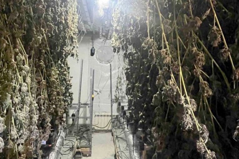 TANJUG/ OMK MUP REPUBLIKE SRBIJE