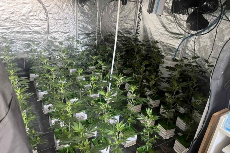 TANJUG/ OMK MUP REPUBLIKE SRBIJE