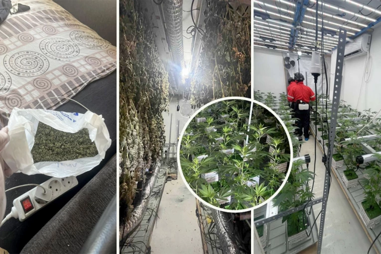 OTKRIVENE LABORATORIJE DROGE U BEOGRADU! U stanovima na Zvezdari gajio marihuanu! Pogledajte SPEKTAKULARNU akciju policije! (FOTO, VIDEO)
