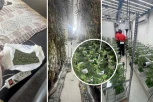 OTKRIVENE LABORATORIJE DROGE U BEOGRADU! U stanovima na Zvezdari gajio marihuanu! Pogledajte SPEKTAKULARNU akciju policije! (FOTO, VIDEO)