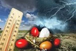DETALJNA VREMENSKA PROGNOZA DO VASKRSA! Danas najtopliji dan od početka godine, a onda sledi naglo zahlađenje