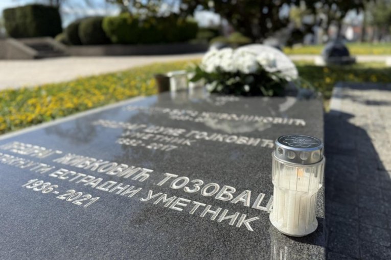 Predrag Živković Tozovac