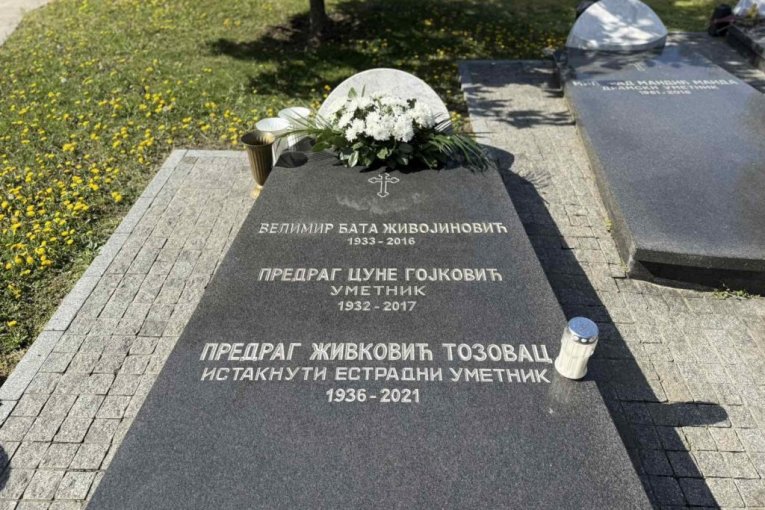 Predrag Živković Tozovac