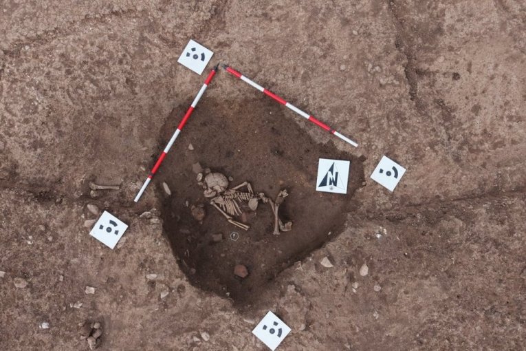 Grobovi starčevačke kulture