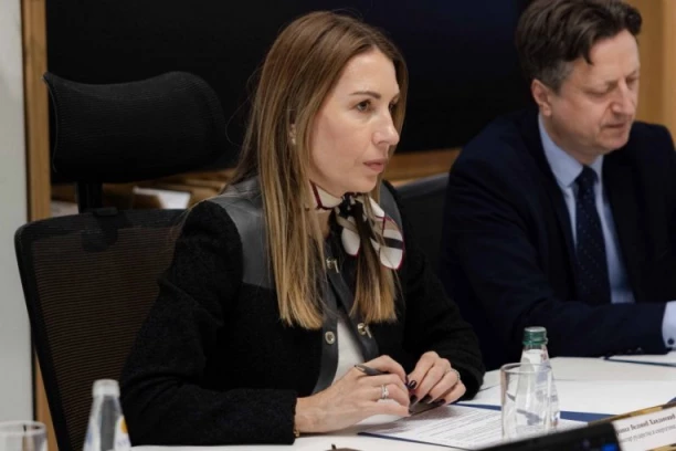 ĐEDOVIĆ HANDANOVIĆ SAOPŠTILA DOBRE VESTI: Srbija do 2032. može biti spremna za izgradnju nuklearne elektrane