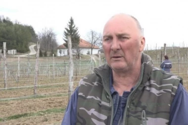 RADIVOJE UZGAJA OVU BILJKU I OD NJE LEPO ŽIVI! Ima mnogo posla, ali se isplati - država daje i subvencije!