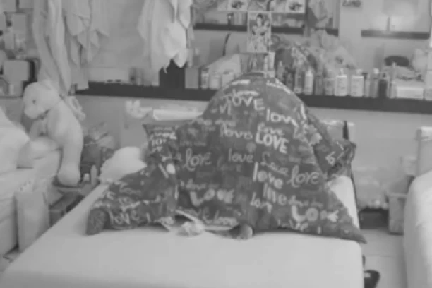 PUCA VEZA? ASMIN SE OBRUKAO U KREVETU! Maja Marinković odlepila! (VIDEO)