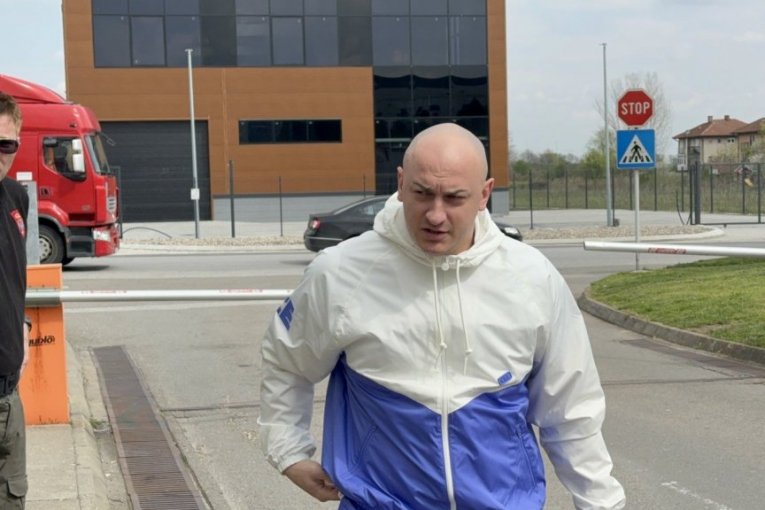 Dragomir Despić Desingerica