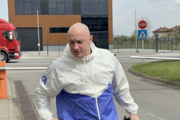 Dragomir Despić Desingerica