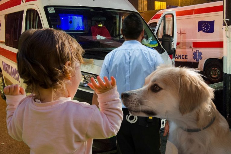 WHAT A DEED BY A HERO POLICE OFFICER! Dog Attacked Child in Kragujevac