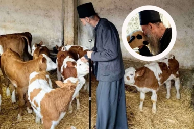 DIRLJIVE SLIKE KOSOVA I METOHIJE KOJE SE RETKO VIĐAJU: Patrijarh Porfirije obišao manastirsko imanje Visokih Dečana (FOTO)