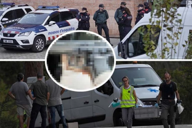 KRSTO VUJIĆ UPUCAN USRED KAFIĆA! Žena i dete sve gledali - "Terminator" sa 9 života i ovog puta preživeo stravičan napad!