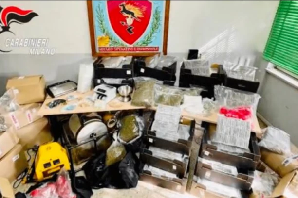 SRBIN PAO U ITALIJI KAO ČLAN BANDE ZA KRIJUMČARENJE DROGE! Uhapšeno 13 osoba, zaplenjena tona droge, 80.000 evra, pištolj...