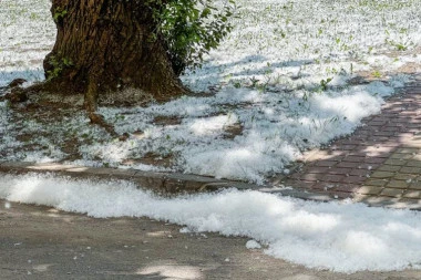 NESVAKIDAŠNJI PRIZOR U NOVOM SADU: Grad se potpuno ZABELEO na 22 stepena, građani u šoku trljaju oči: Evo šta se zapravo dešava! (VIDEO)