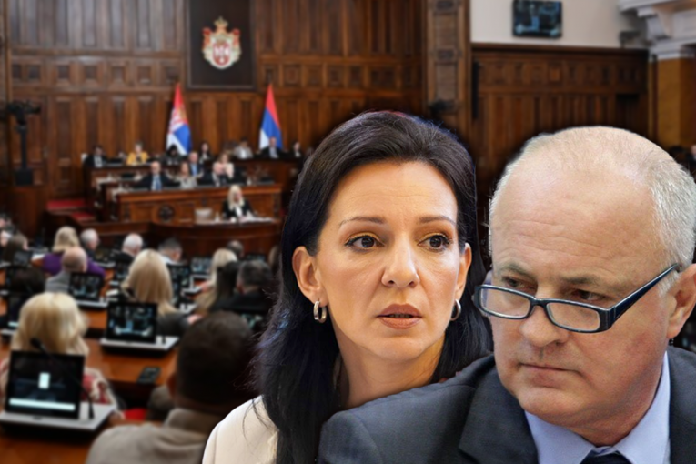 Endless Grotesqueries of the Blockade! Marinika Tepić Unleashes Barrage on Prosecutor Mladen Nenadić